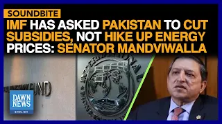 IMF Has Asked Pakistan To Cut Subsidies: Senator Mandviwalla | Dawn News English