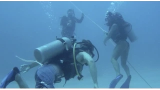 Diving in the Dominican Republic