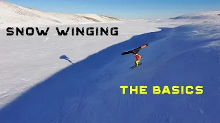 Snow Winging - The Basics
