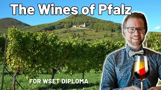 Exploring Germany's Pfalz Wines for WSET Diploma