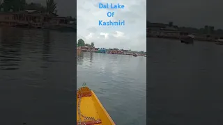 #dallake  #KashmirVibes #HeavenOnEarth #Magical #Shorts #Srinagar #travel