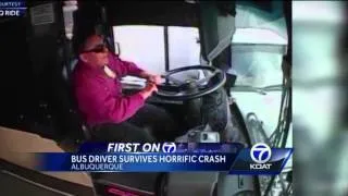 Bus driver survives horrific crash