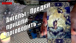 👼🪽ЧТО ХОТЯТ СКАЗАТЬ ВАМ ТЕ, КТО СЕЙЧАС НА НЕБЕСАХ? 🍀♥️ Гадание Таро