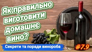 Домашнее вино. Как приготовить и сберечь? Секреты винодела со стажем 40 лет