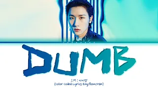 I.M Dumb Lyrics (아이엠 Dumb 가사) (Color Coded Lyrics)