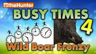 Busy Times 4 - Wild Boar Frenzy - theHunter Classic