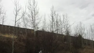 Eastbound Union Pacific coal drag works up the Moffat Road at Winter Park