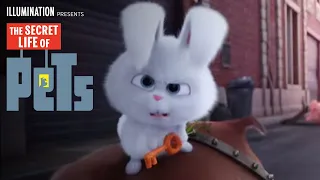 The Secret Life Of Pets | TV SPOT 37 (HD) | Illumination