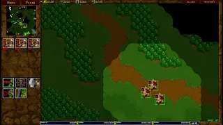 Warcraft 2 17.2.2023