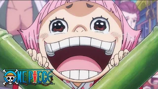 The Truth of SMILE | One Piece