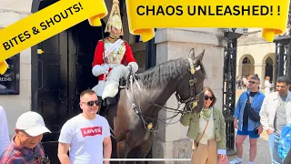 CHAOS UNLEASHED! Rule Defying Tourists Get Shouted at and Arnie’s Relentless Bites