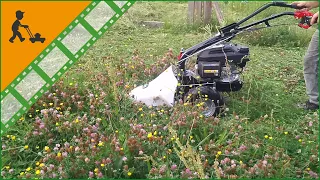 Eurosystems P55 Scythe Mower - Honda GCVx 170 - 87 cm dual-blade sickle bar - Customer's video