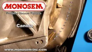 Canola Seed in the Monosem® Precision Meter