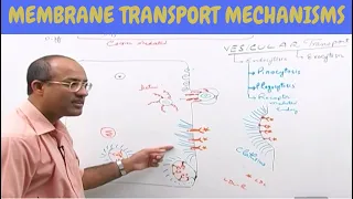 Cell Membrane Transport | Plasma Membrane Transport | Cell Biology🩸