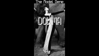 Dovima and the Elephants: From Supermodel to Hostess