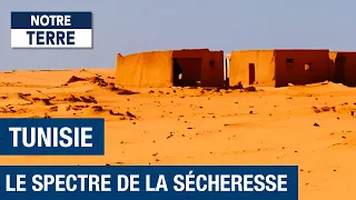 Tunisie, une guerre contre le climat  - Documentaire environnement - désertification - Ben Ali - AMP