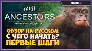 ANCESTORS - The Humankind Odyssey | ОБЗОР НА РУССКОМ | С ЧЕГО НАЧАТЬ?