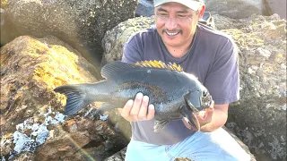 Redondo Beach Breakwall | pescando mojarras grandes Opaleye