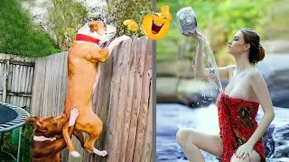 Funniest Animal Videos 2022 😂 Funny Cats 🐱 and Dogs 🐶 Videos Part 39
