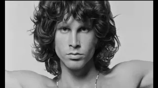 The Doors   Light My Fire Animal Party Remix HD