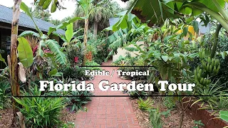 Florida Organic Edible / Tropical Garden Food Forest Tour | December Zone 10a