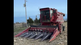 1480 International combine work on corn