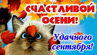 С началом осени! Доброе утро! Красивой осени, счастья и добра!