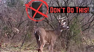 Using Feeders When Hunting For Whitetail Deer | FOUR REASONS I DON’T LIKE USING FEEDERS - ABO