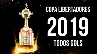 Copa Libertadores 2019 ● All Goals [HD]