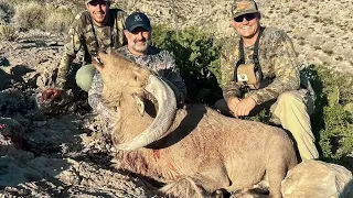 2023 West Texas Aoudad