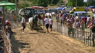 Сираков тв  Коннуи състезания  Варвара