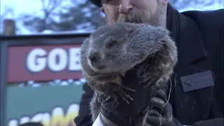 Groundhog Day 2021 Prediction: Punxsutawney Phil sees his shadow