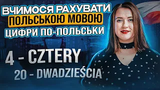 Як рахувати польською мовою? ЦИФРИ ПОЛЬСЬКОЮ. Числівники польською мовою