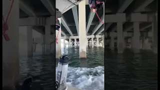 Foil Pumping in Paradise | Hydrofoil Board | Miami Beach | @Watersports Paradise