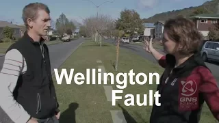 Wellington Fault