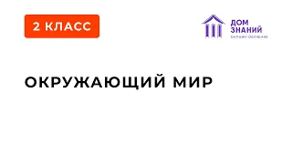 2 класс. Окружающий мир. Аюбова А.А. Тема: "Посмотрим вокруг" Вебинар 2.