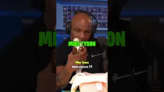 Mike Tyson Loves Pigeons