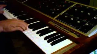 Memorymoog Soft brass