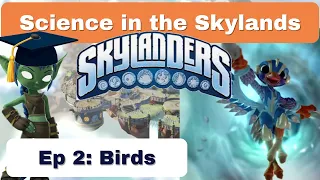 Science in the Skylands #2 - Birds