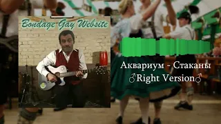 Аквариум - Стаканы (♂Right Version♂) Gachi Remix