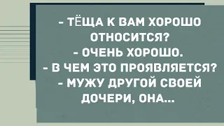 - Тёща к вам хорошо относится? Смех! Юмор! Позитив!