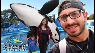 Día en el Parque Acuatico | SeaWorld | Family Juega