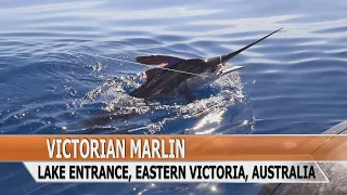 Fishing Edge episode - Lakes Entrance Marlin