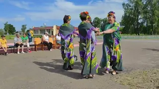 День деревни Вышемир 2024 (трейлер)