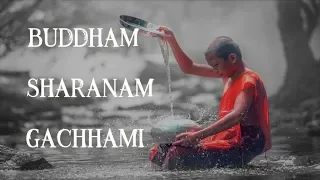 BUDDHAM SHARANAM GACHHAMI |  BUDDHISM CHANTS | MEDITATION |