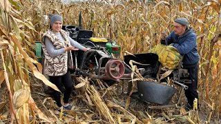 Агрегат халтурить, ломаєм руками 🌽🌽🌽 Лютик освоївся