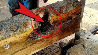 Amazing Fastest Wood Sawing Method || Sawmill