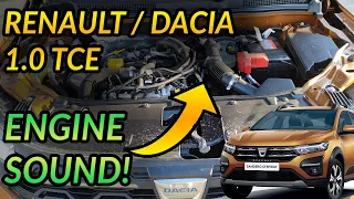 🔊 Dacia Sandero Stepway III 2021/23 1.0 TCe ECO-G ENGINE Sound/Work TEST | Is that an engine FAULT?