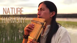 NATURE HARMONY - Jorge Sangre Ancestral | Live | Beautiful Nature | Native Music | Relaxing Song