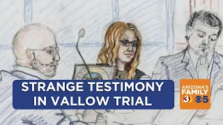 New testimony: Lori Vallow reportedly had 18 burner phones